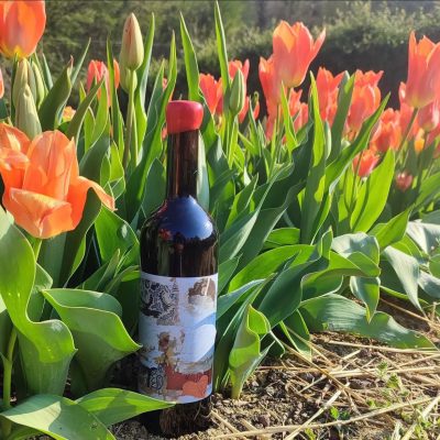 Degustazione vini Biologici